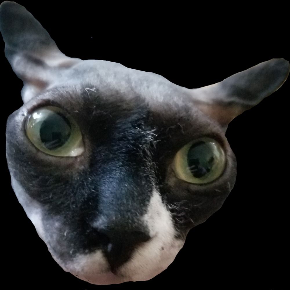 Cadearoo