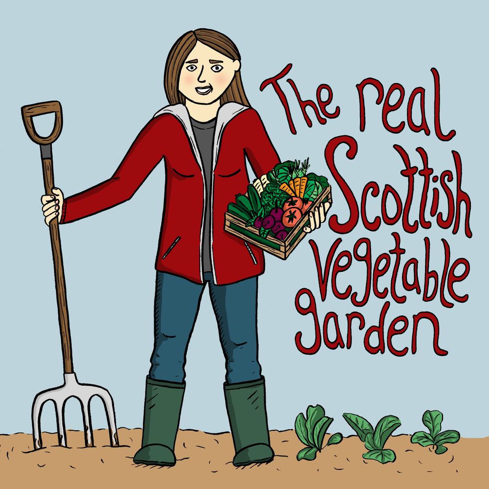 Scottish Veg Garden