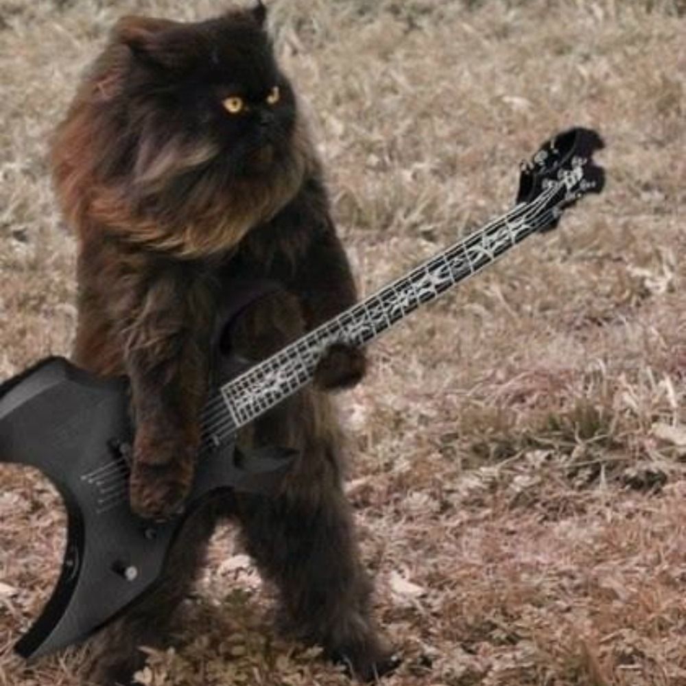 metalcat