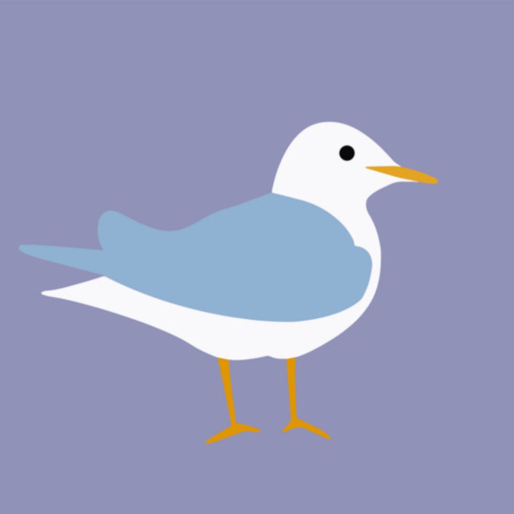 Maybe The Duck