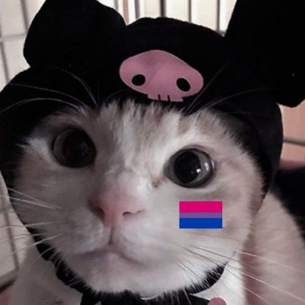 Muito bissexual, porém com a carteirinha cancelada
