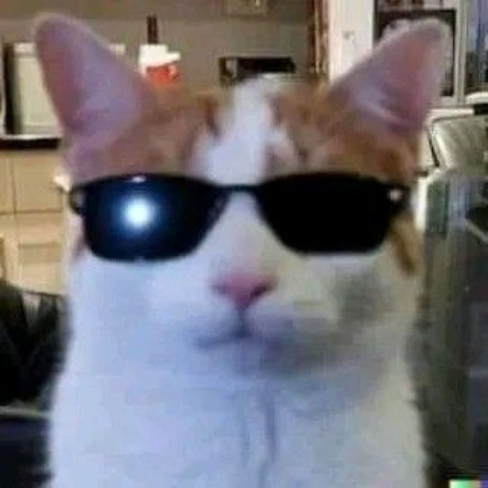 vishrapaiz