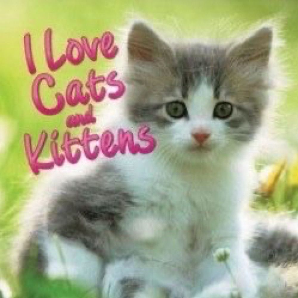 kittytism