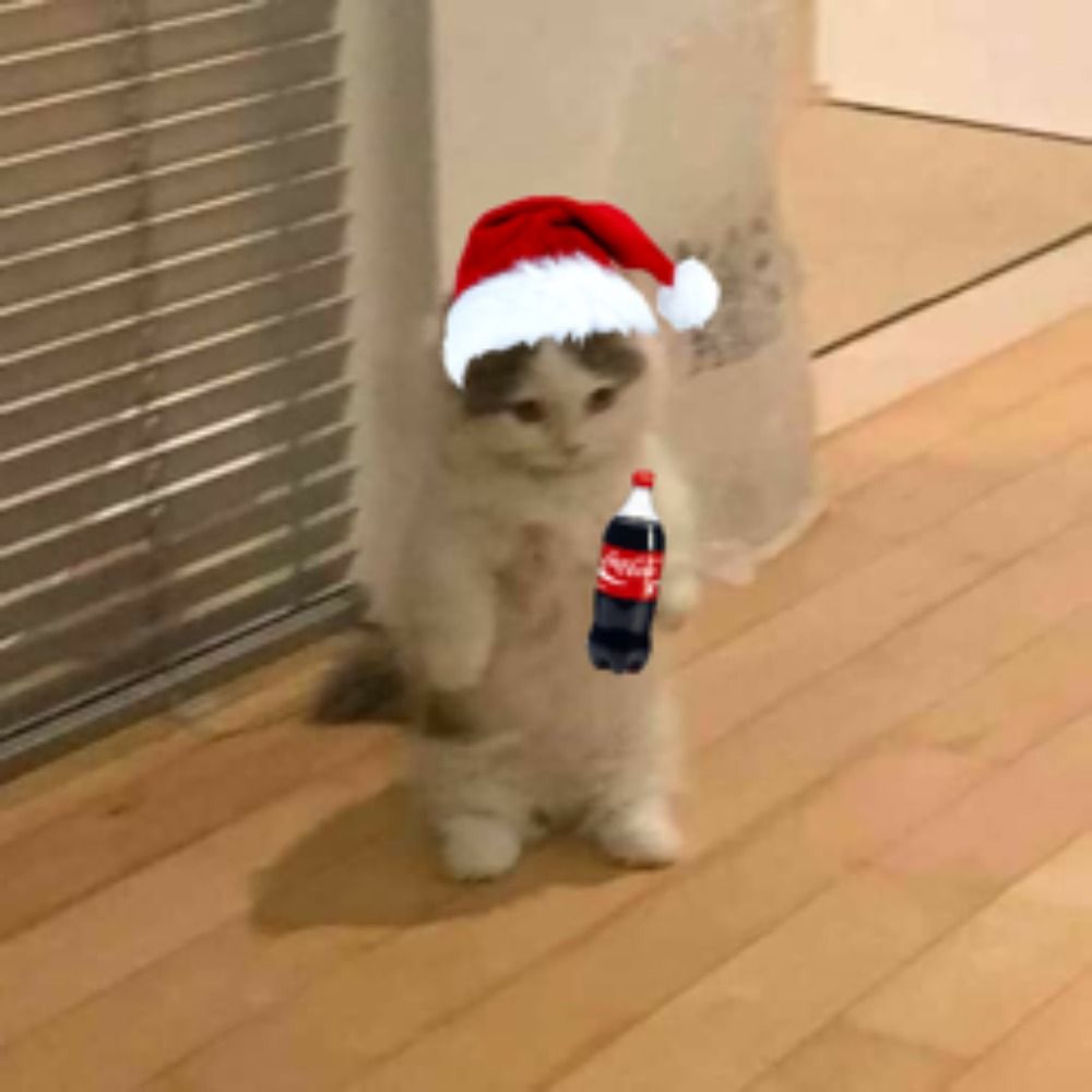 sir fuzzy