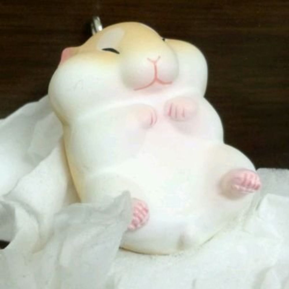 おもちハムスター