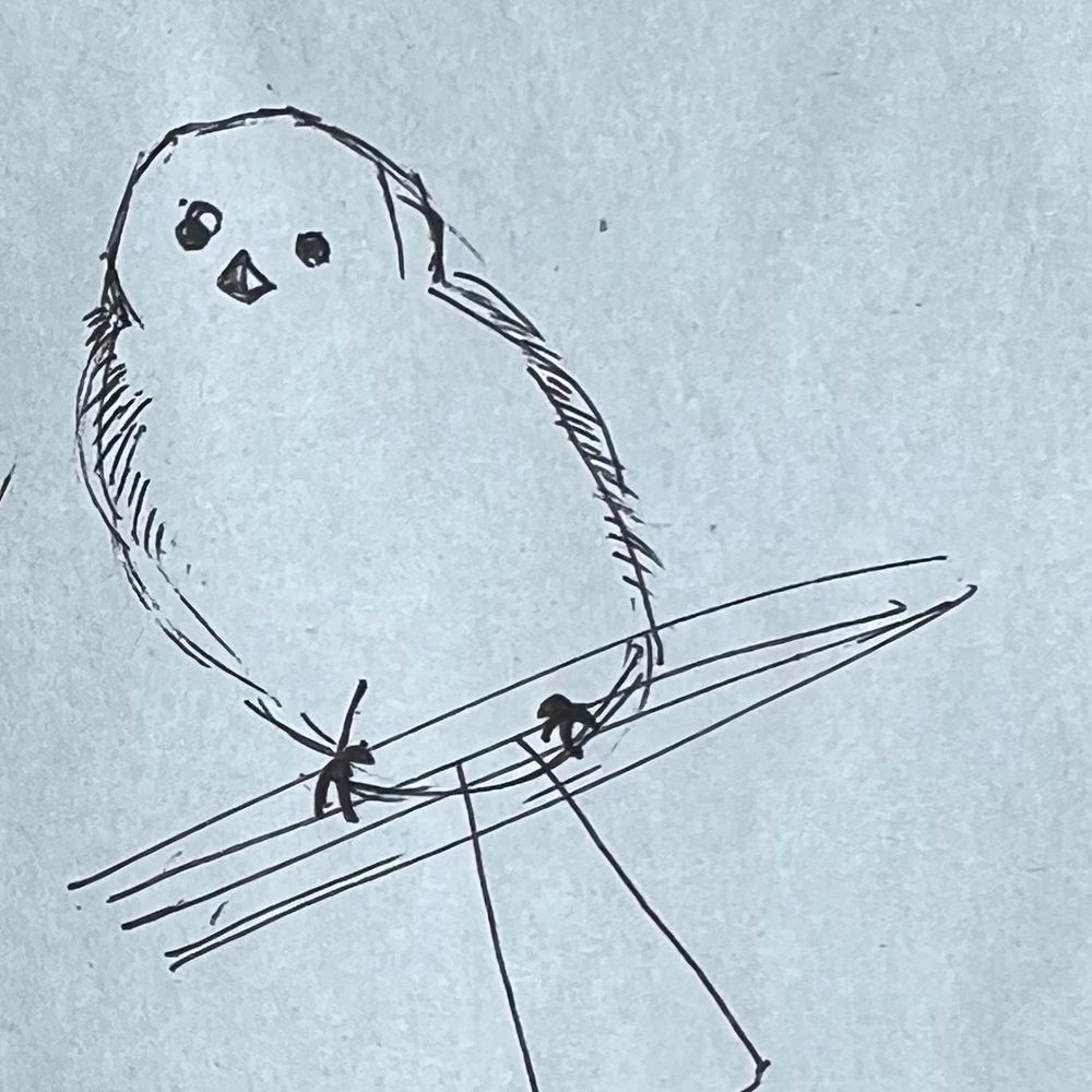 ふゆき