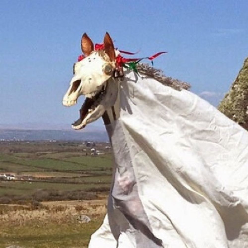 Mari Lwyd Season