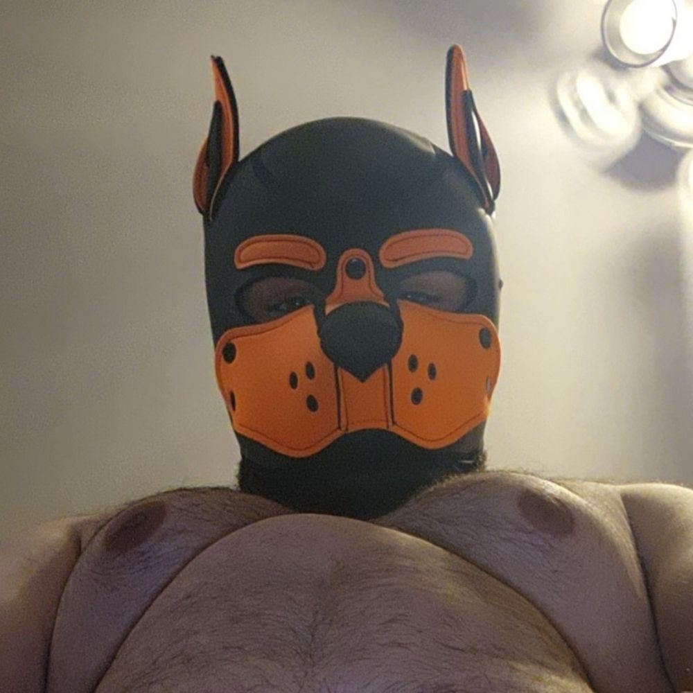 Pup Meric
