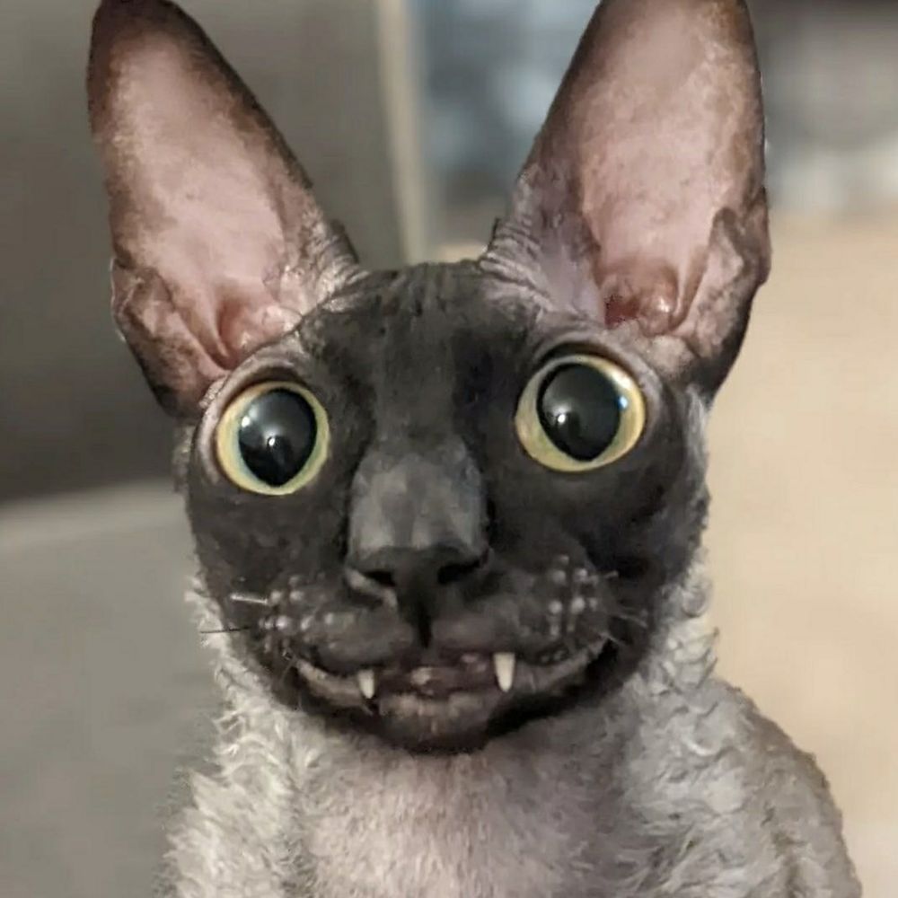 fenn