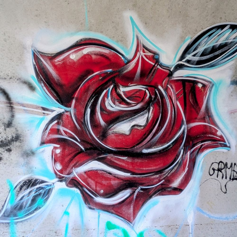 Sérendipité(s) 🌍