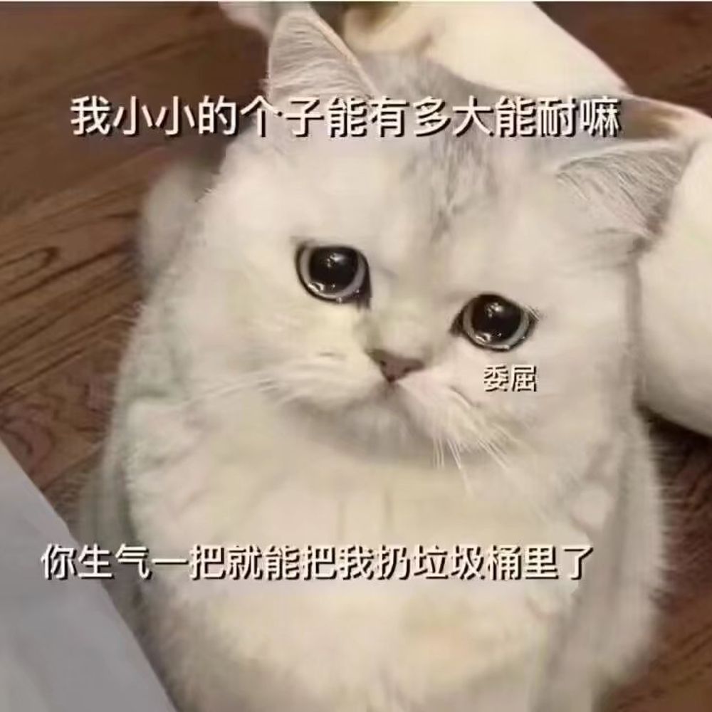 情绾