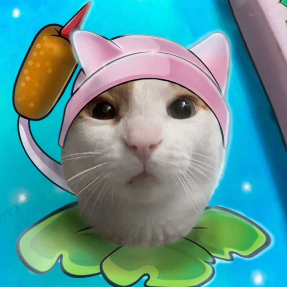 reyncoat