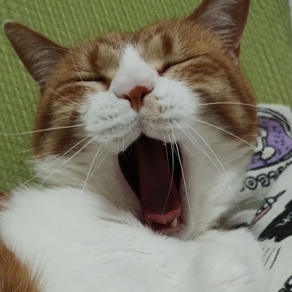 ゆりな