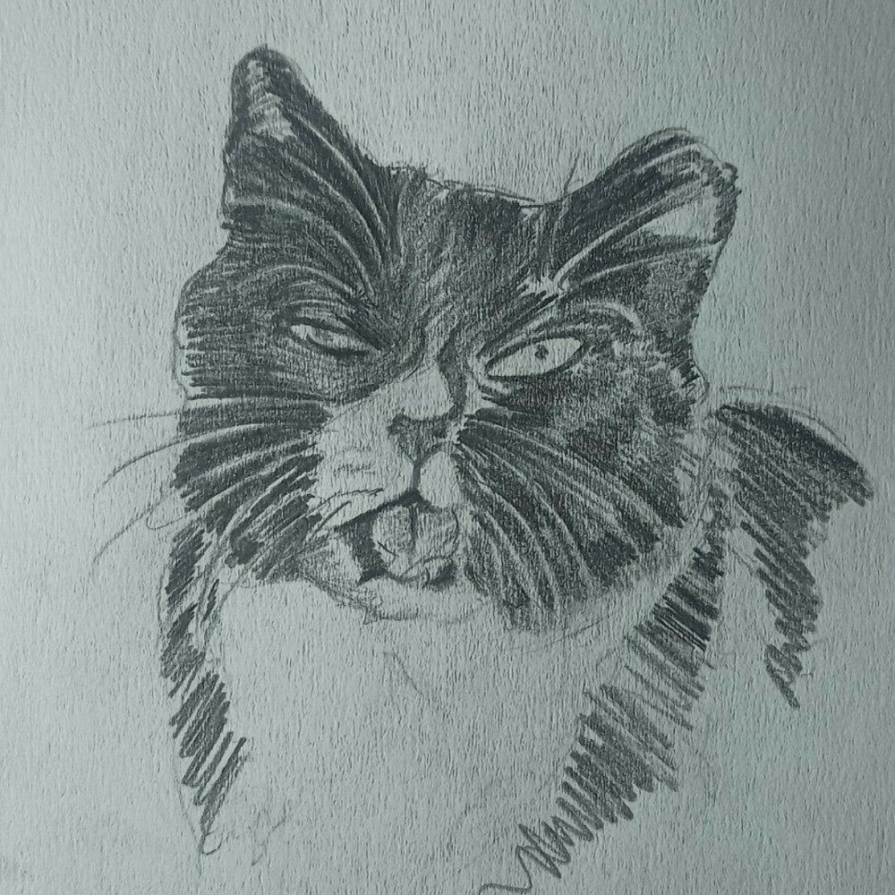 Sven