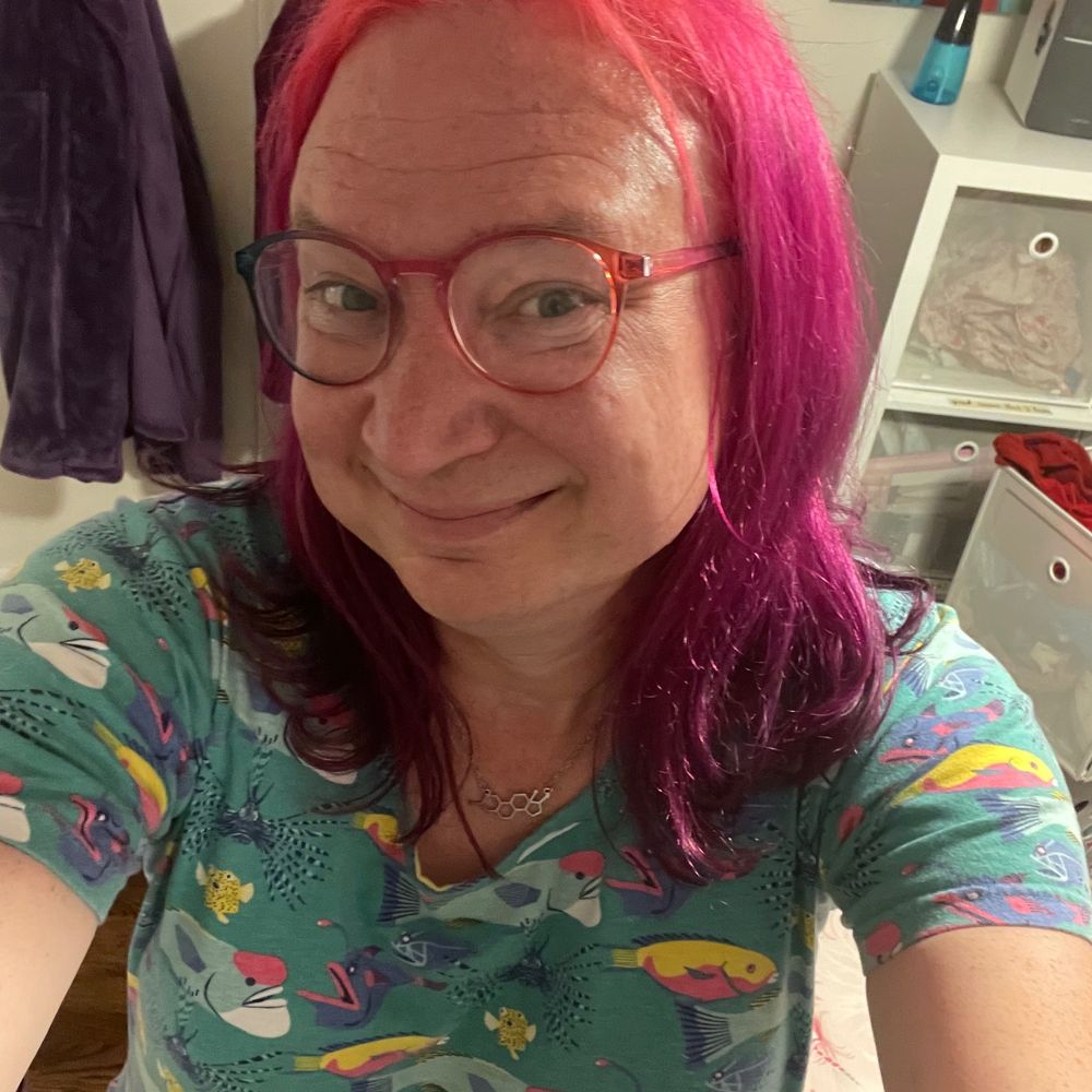 rebeccabluestone.bsky.social profile picture
