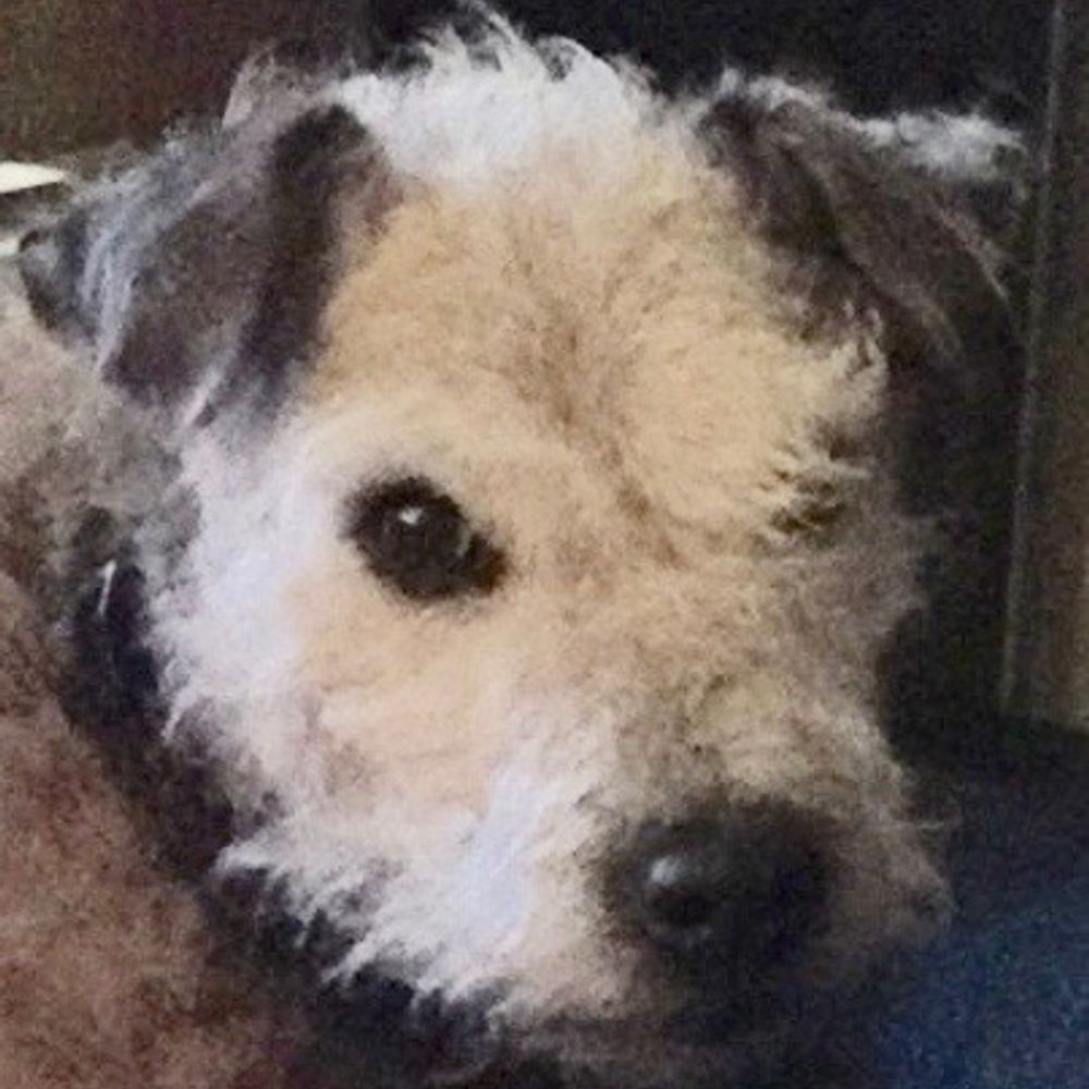 rowlandpeveril.bsky.social profile picture