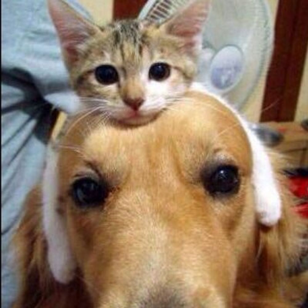 🐣まめ之助🐥