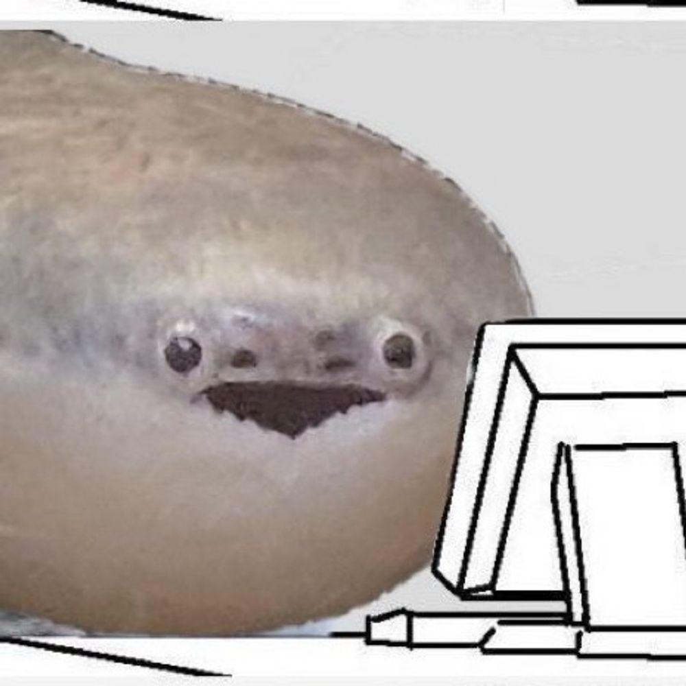ktnskn