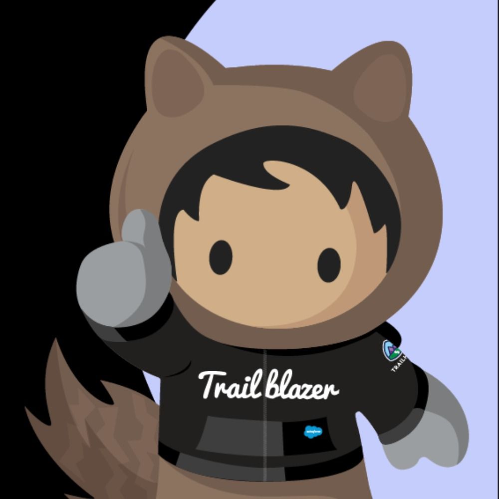 Salesforce Learning Hub