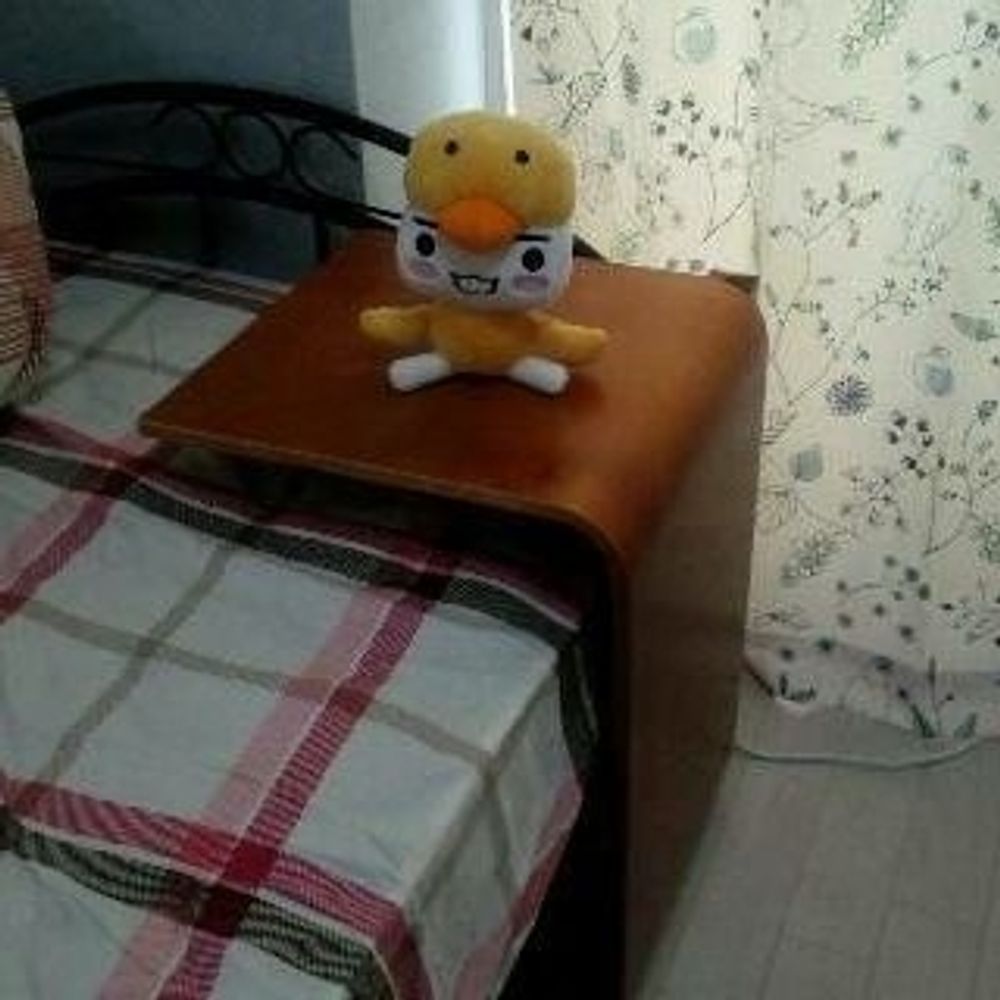 あぐねす