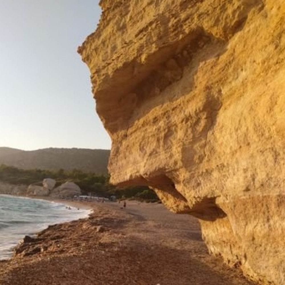 Diem perdidi