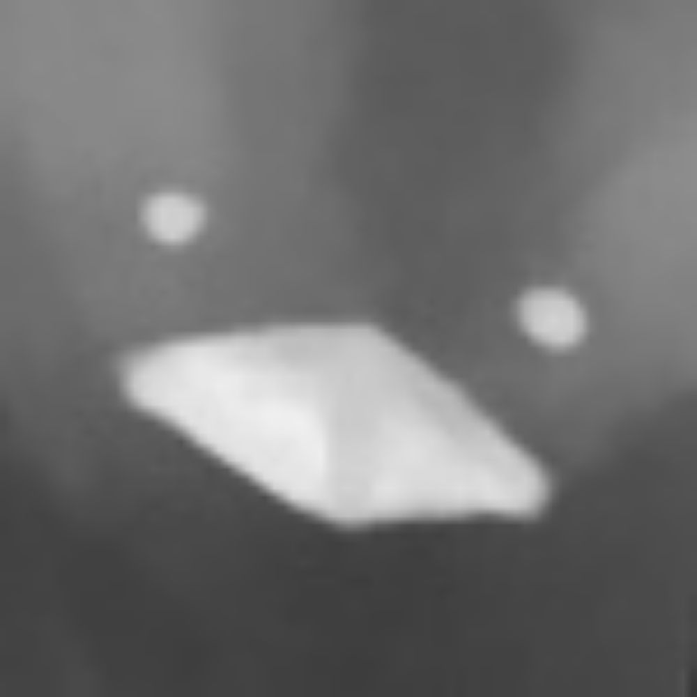 ひざし