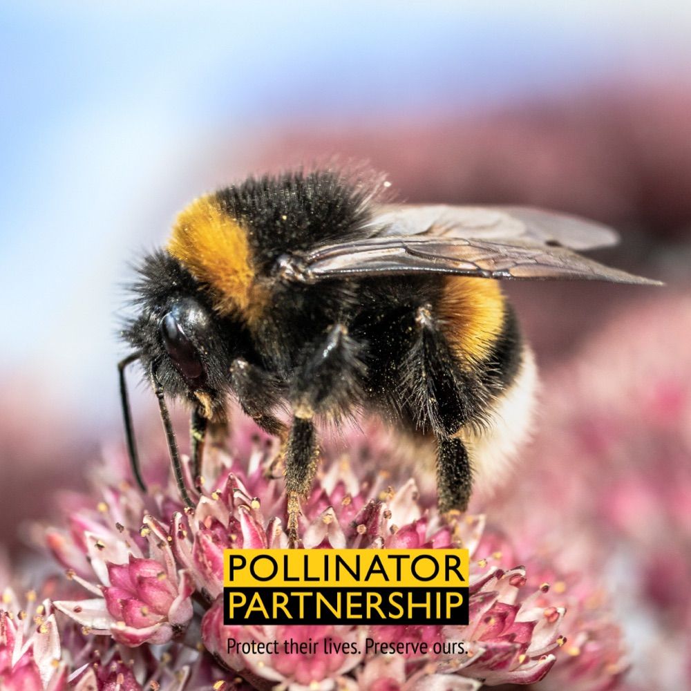 Pollinator Partnership