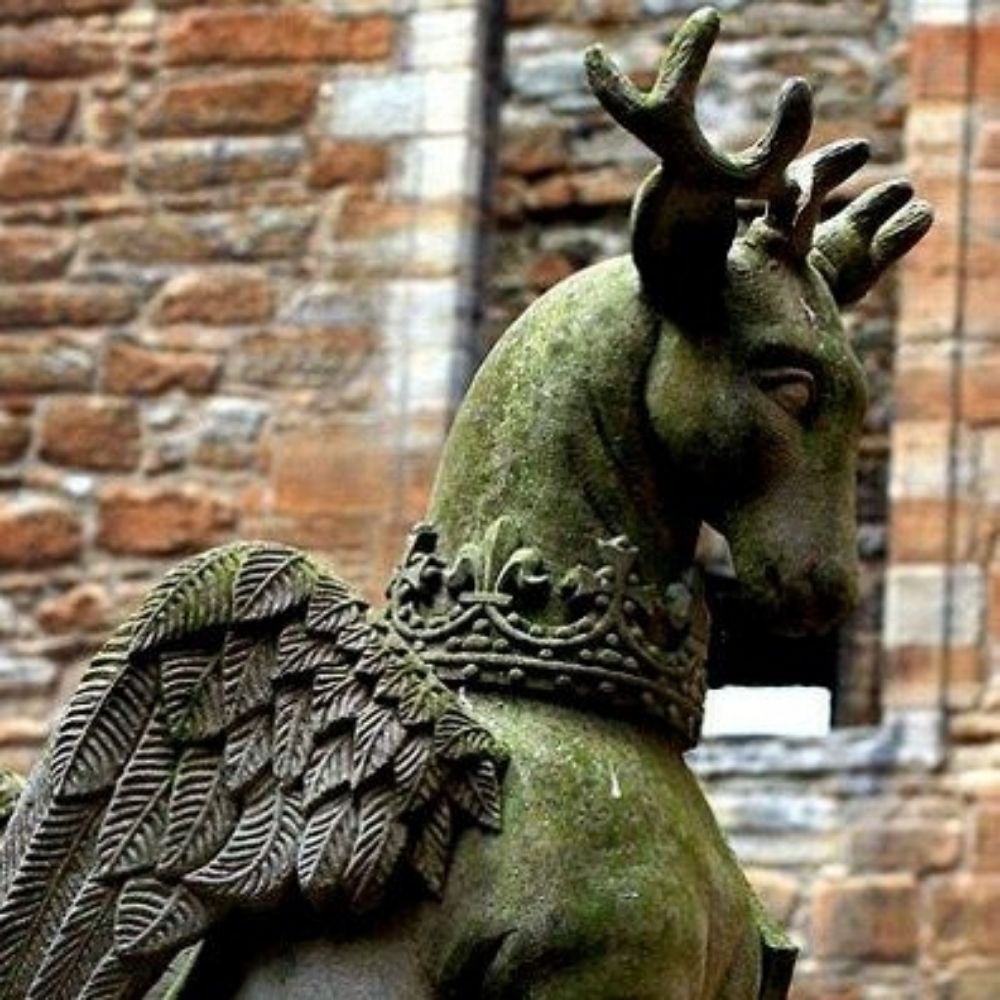 Stag