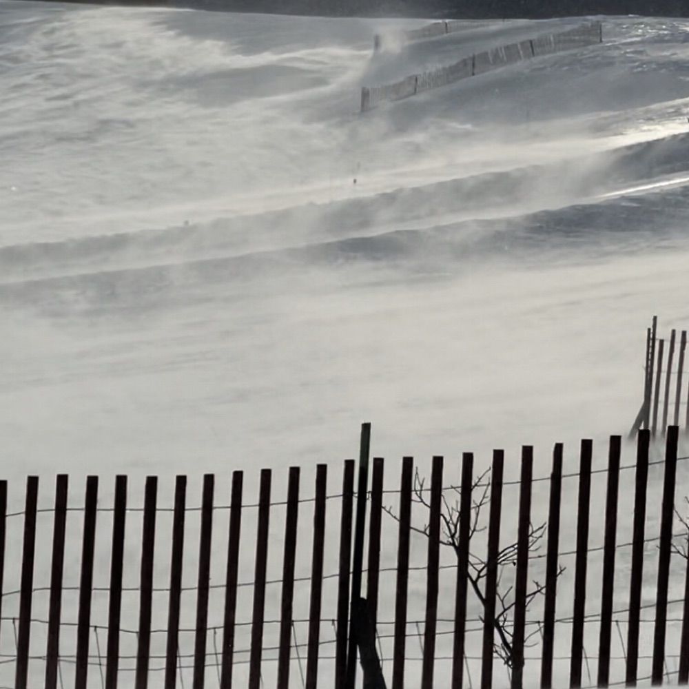 Snow Fence 42