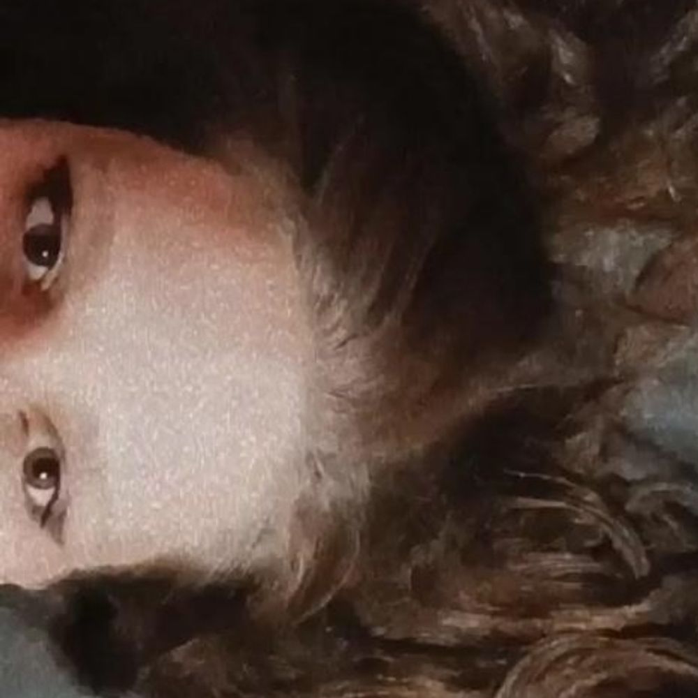 michi-hada chustisiera de la matuja 🧚🏻‍♀️🌴