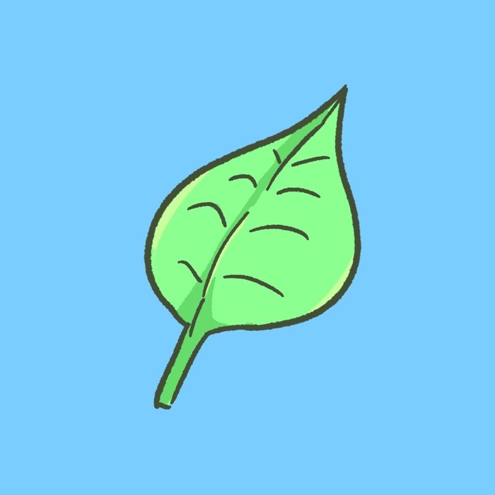 アールグレイの茶葉(本物