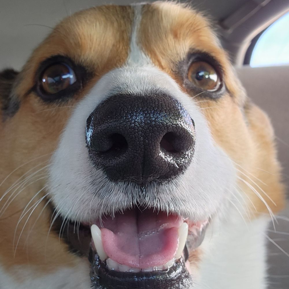 relentless.bsky.social