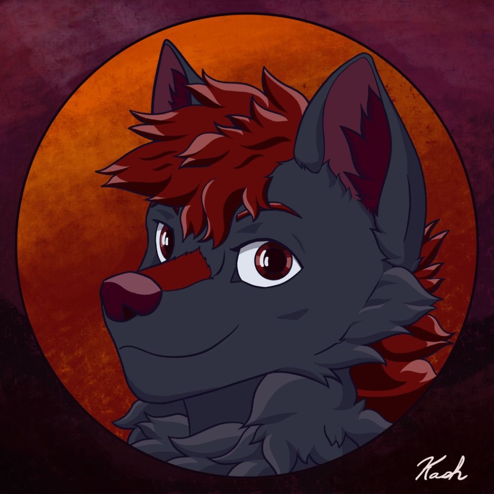 Darkmoonwolf