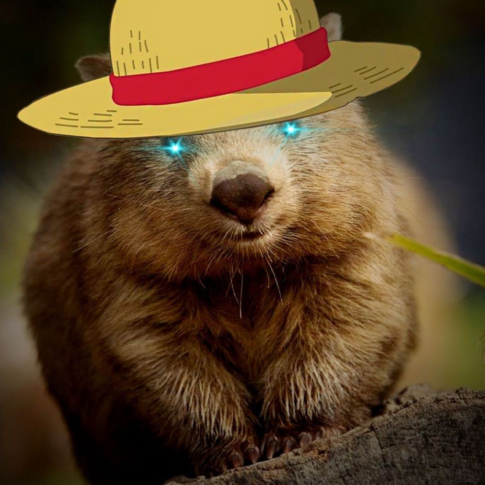 Springtime Wombat's avatar