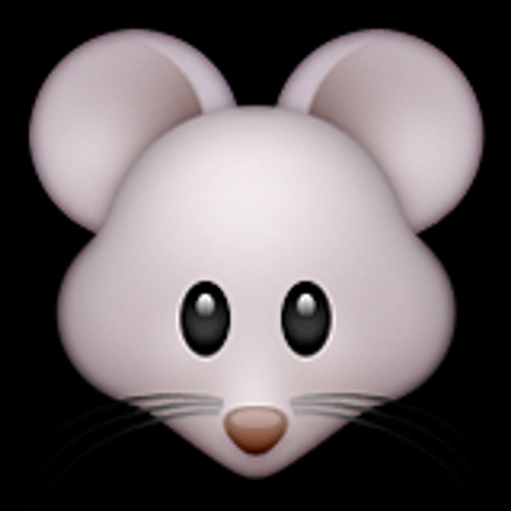 Daniel the MouseInTheCourt
