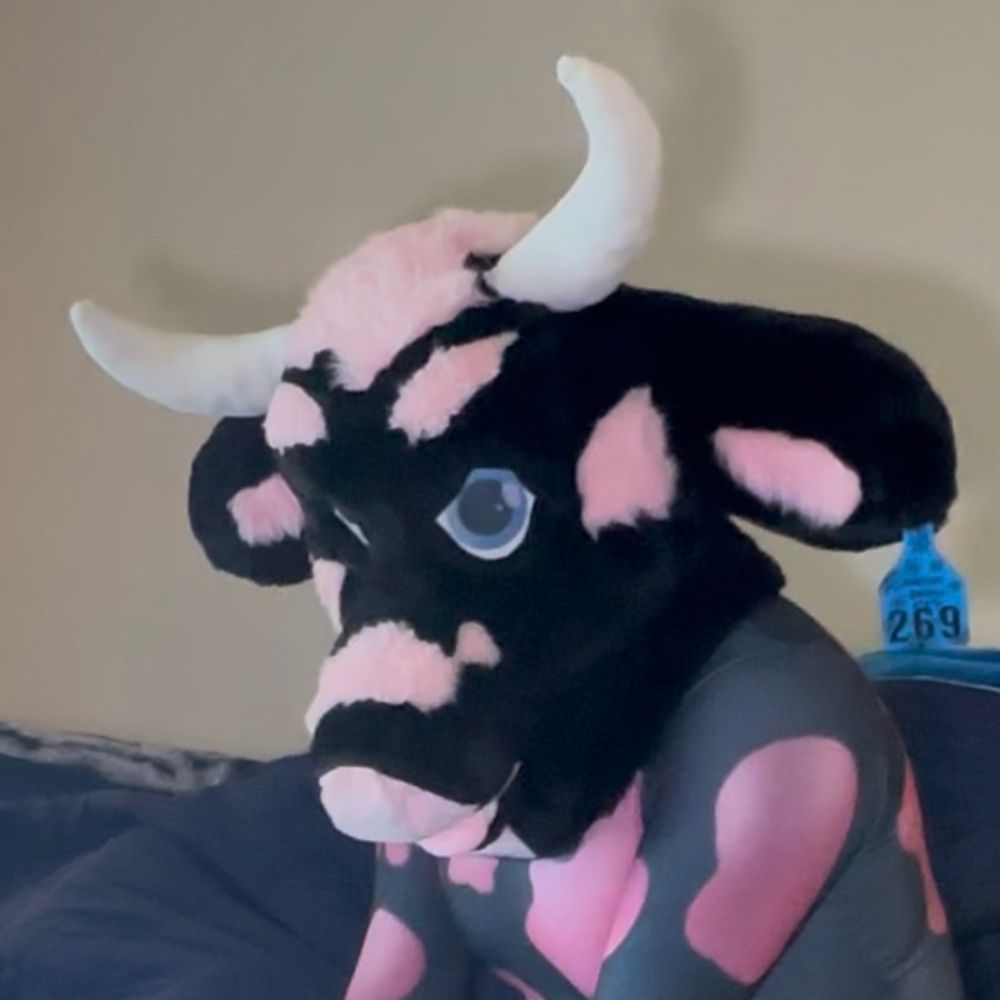 Bleu 🐮🐶🔜FWA