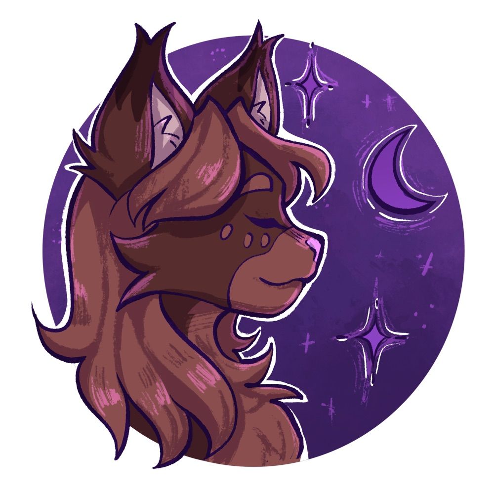 CatAfterDark