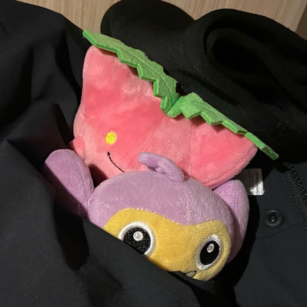 ｔﾗ乂､ｷω🐟
