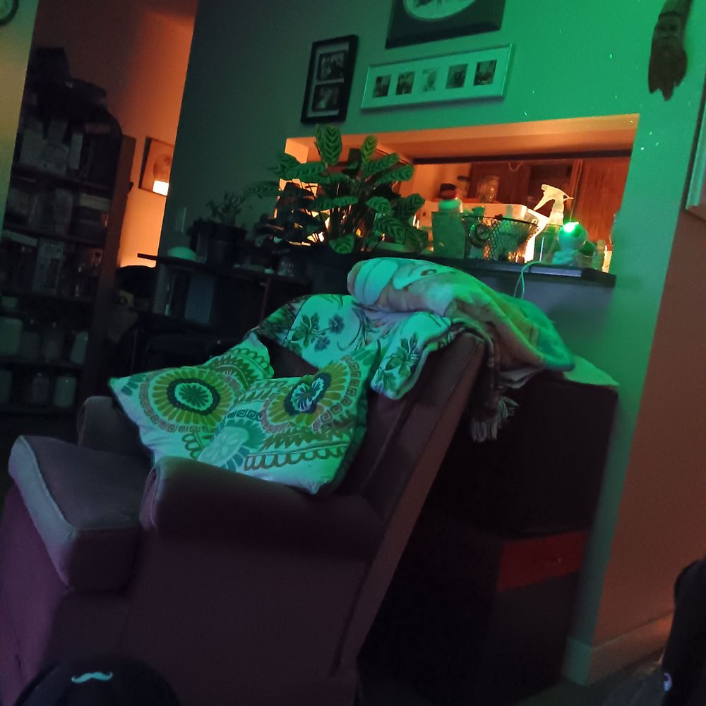 SpinTurlock
