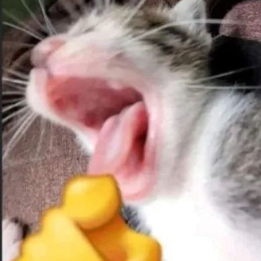E2SY