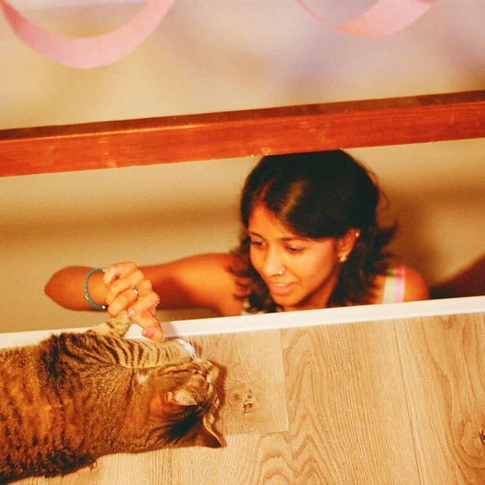 tanvi