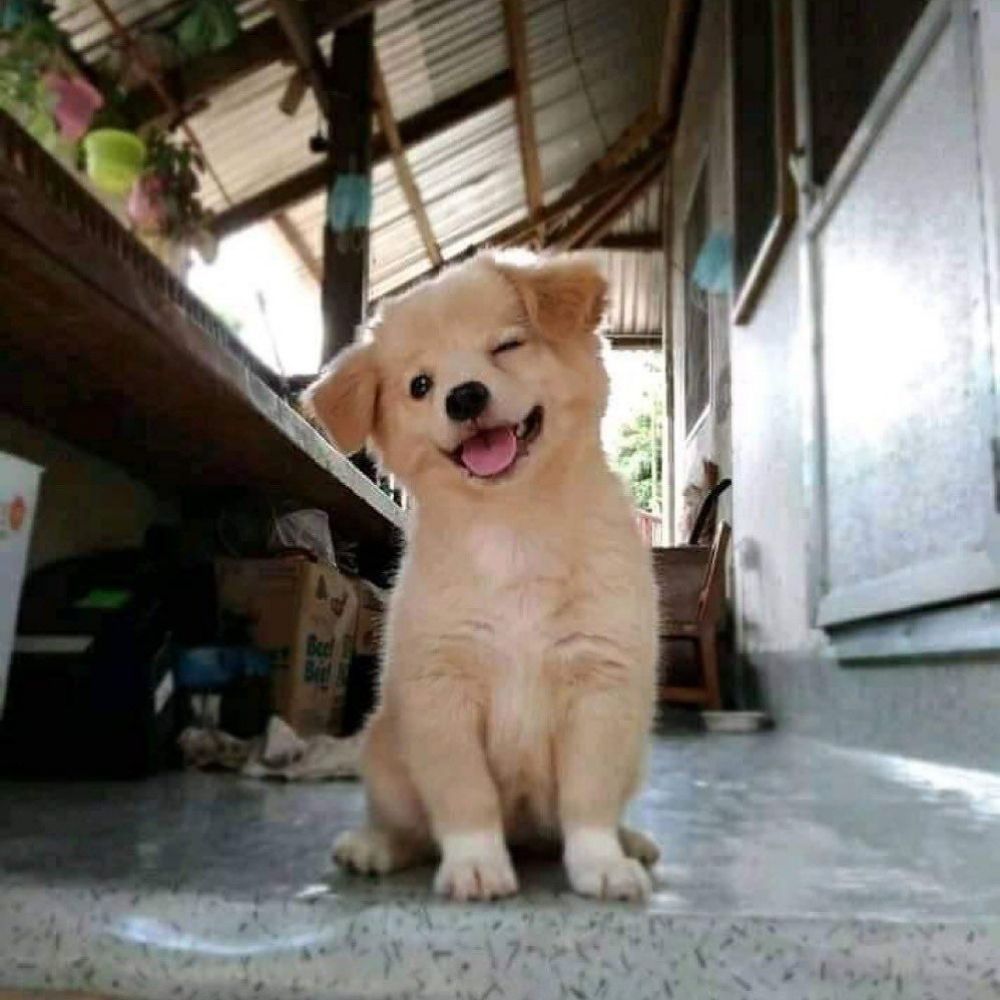 좡