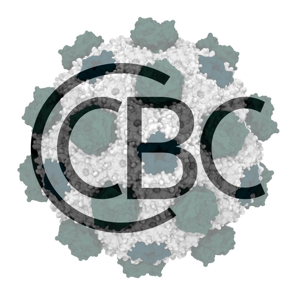 Center for Catalysis in Biomimetic Confinement