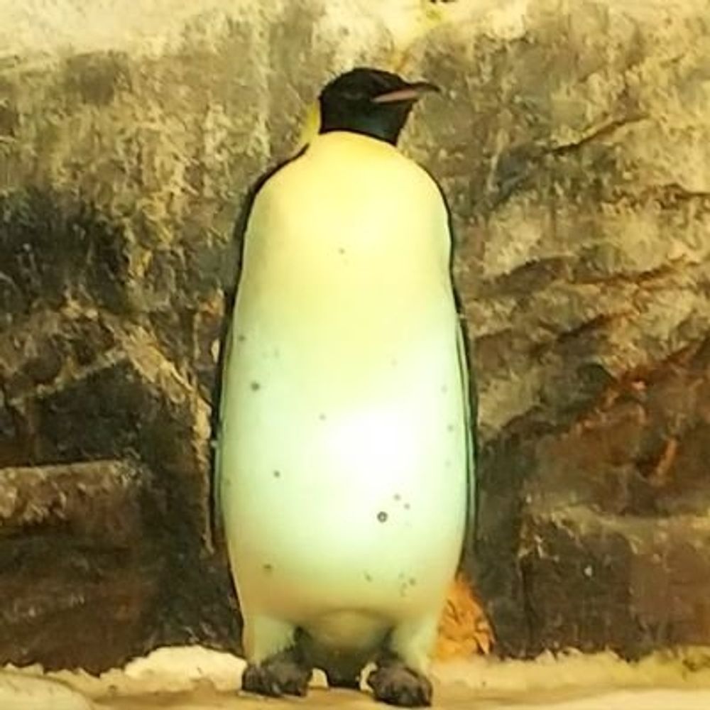 涼介