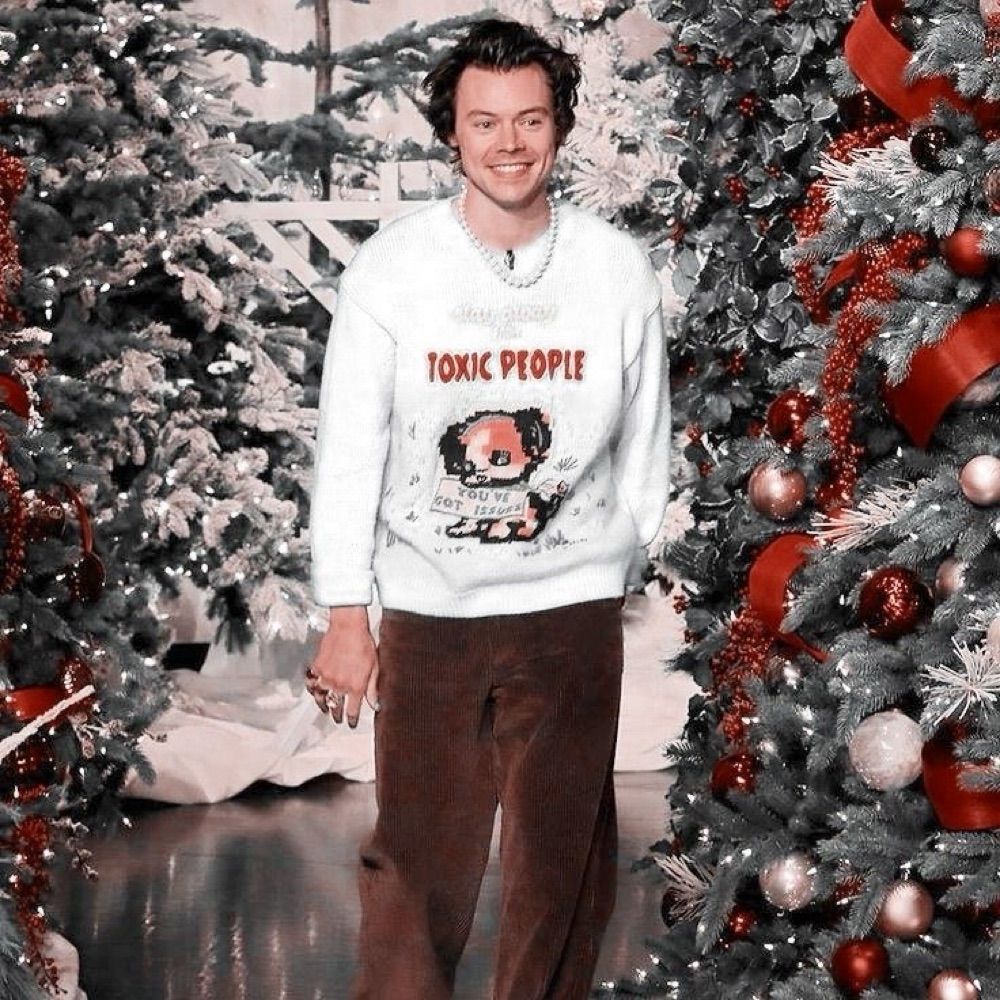 𝚔  ‧₊˚🎄✩ ₊˚🦌⊹♡