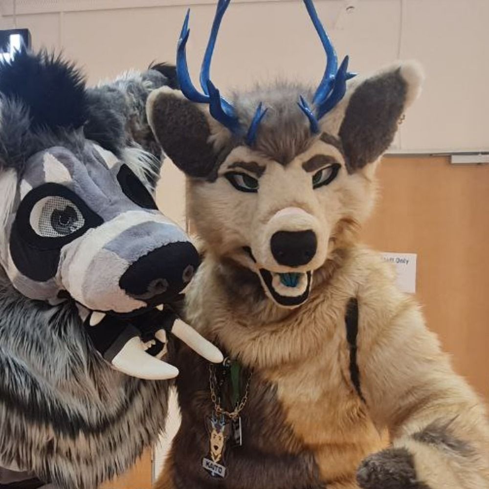 Kaito Deerdog