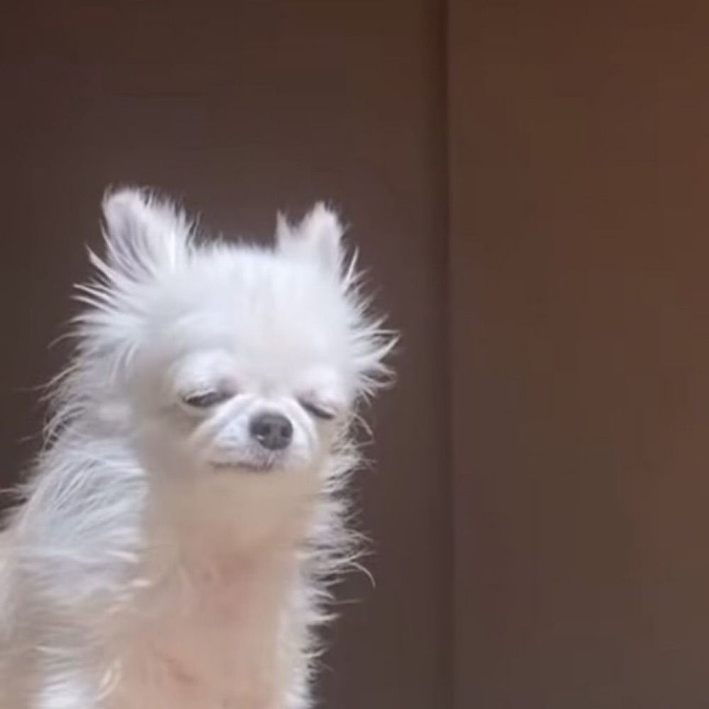 스댕
