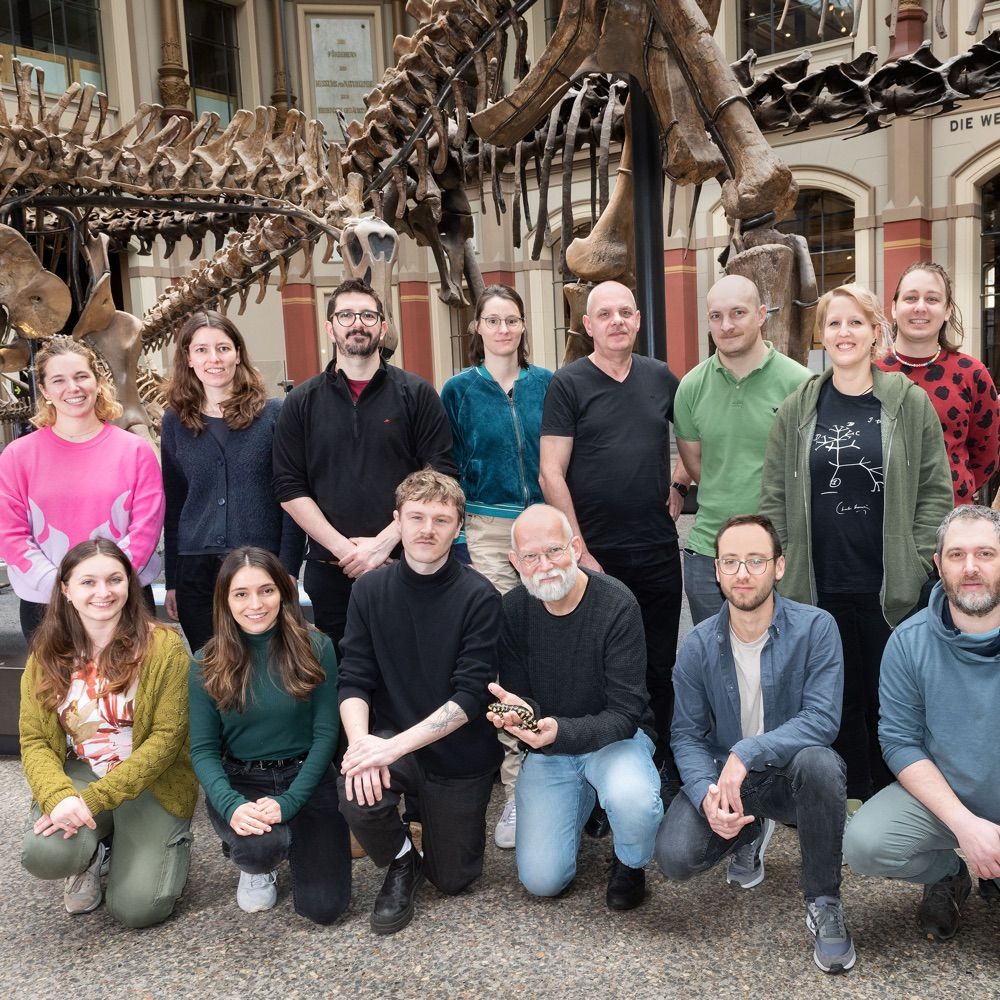 Rödel Lab