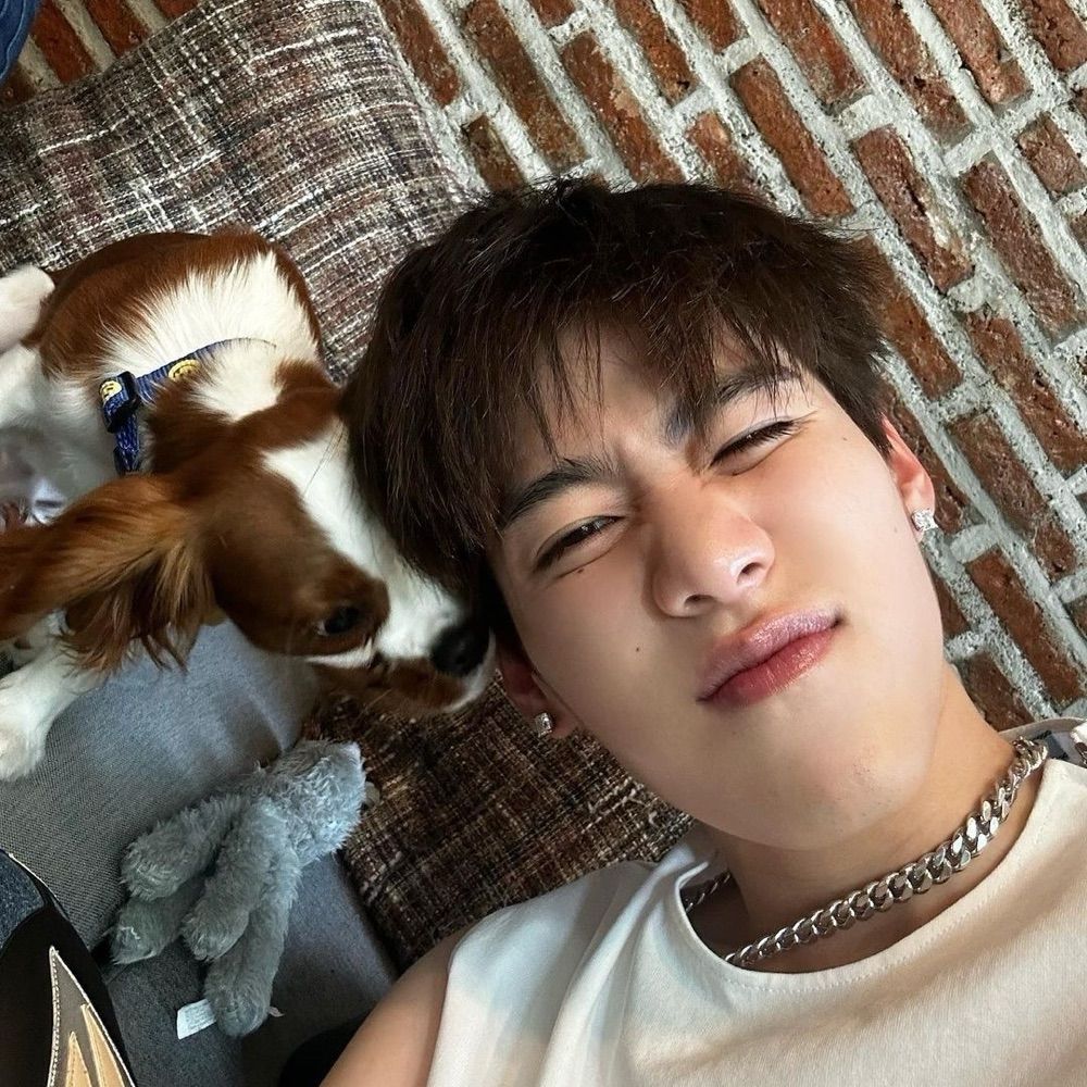 นอพอพอ 🐱