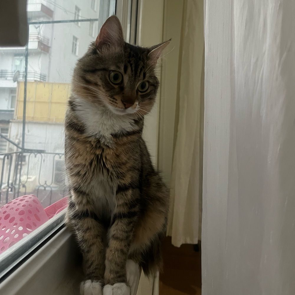 Hera&loki